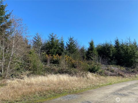 Photo of 23800 Elm (across from 23804) Ln, Ocean Park, WA 98640 (MLS # 2343105)