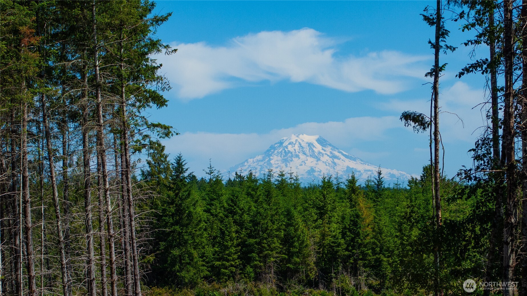 20 E Cascade View