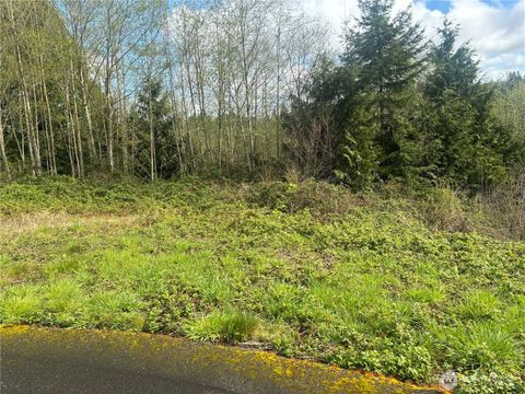 Photo of 10 Timber Lane, Elma, WA 98541 (MLS # 2511114)