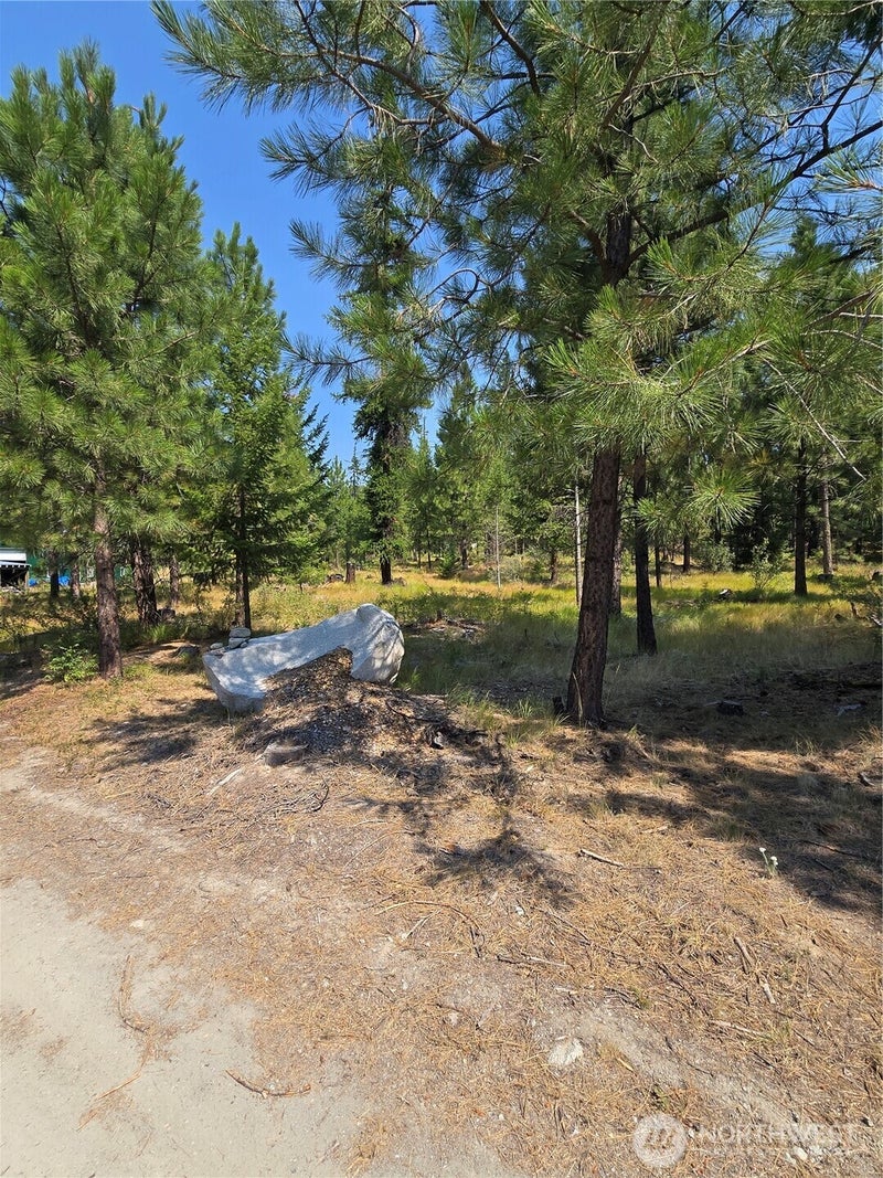 15 Appaloosa Road