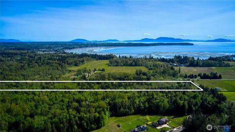 Photo of 50 Acres Lincoln and Shintaffer Road, Blaine, WA 98230 (MLS # 2436912)