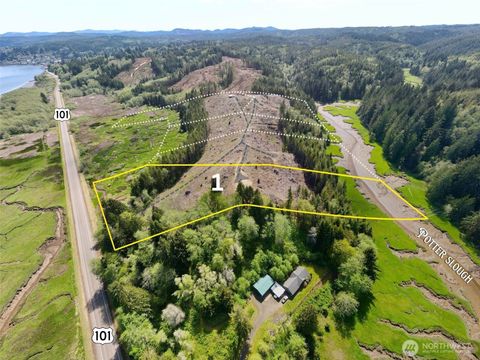 Photo of 8462 Us Highway 101, South Bend, WA 98586 (MLS # 2528997)