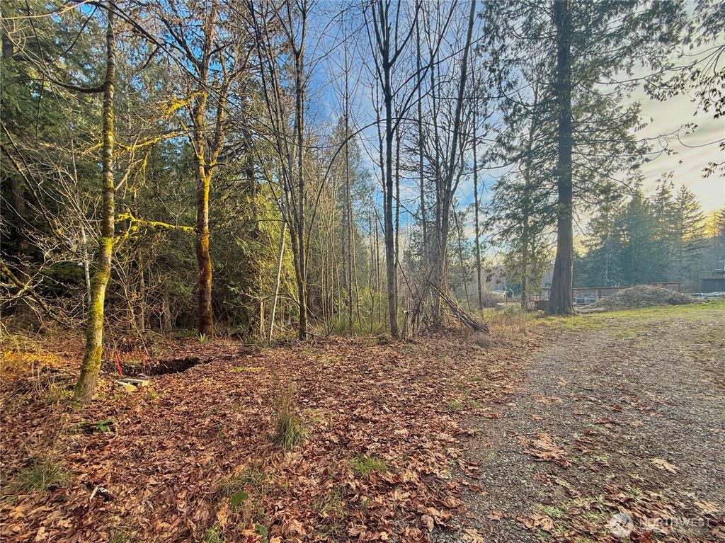 Photo of 680 E State Route 302, Belfair, WA 98528 (MLS # 2472718)