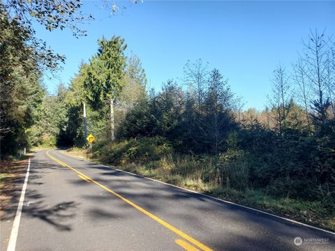 Photo of 36602 Stackpole Road, Oysterville, WA 98641 (MLS # 2309666)