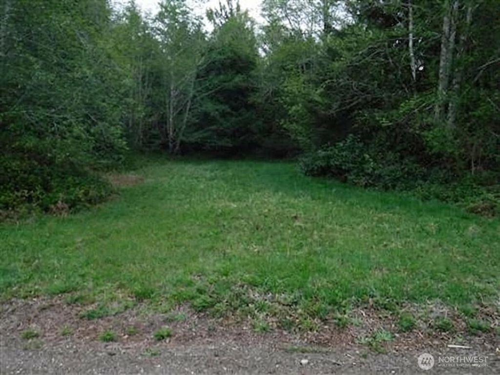 Photo of 56 Ranta Road, South Bend, WA 98586 (MLS # 2492725)