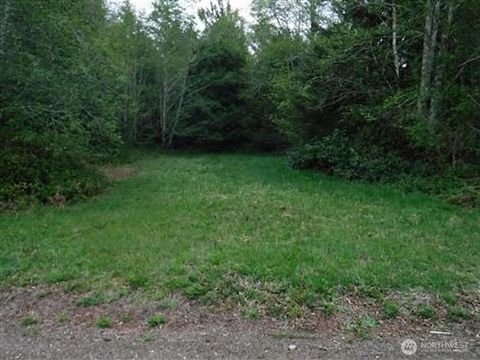 Photo of 56 Ranta Road, South Bend, WA 98586 (MLS # 2492725)