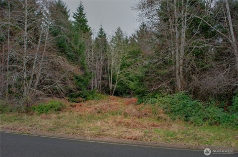Photo of 56 Ranta Road, South Bend, WA 98586 (MLS # 2492725)