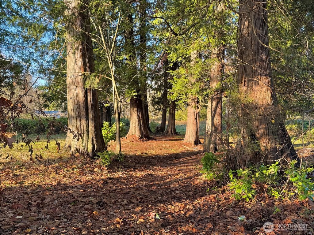 Photo of 25 NE Roy Boad Road, Belfair, WA 98528 (MLS # 2469794)