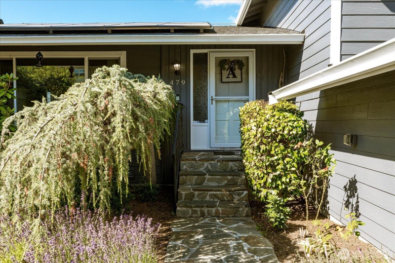 479 Elderberry Street