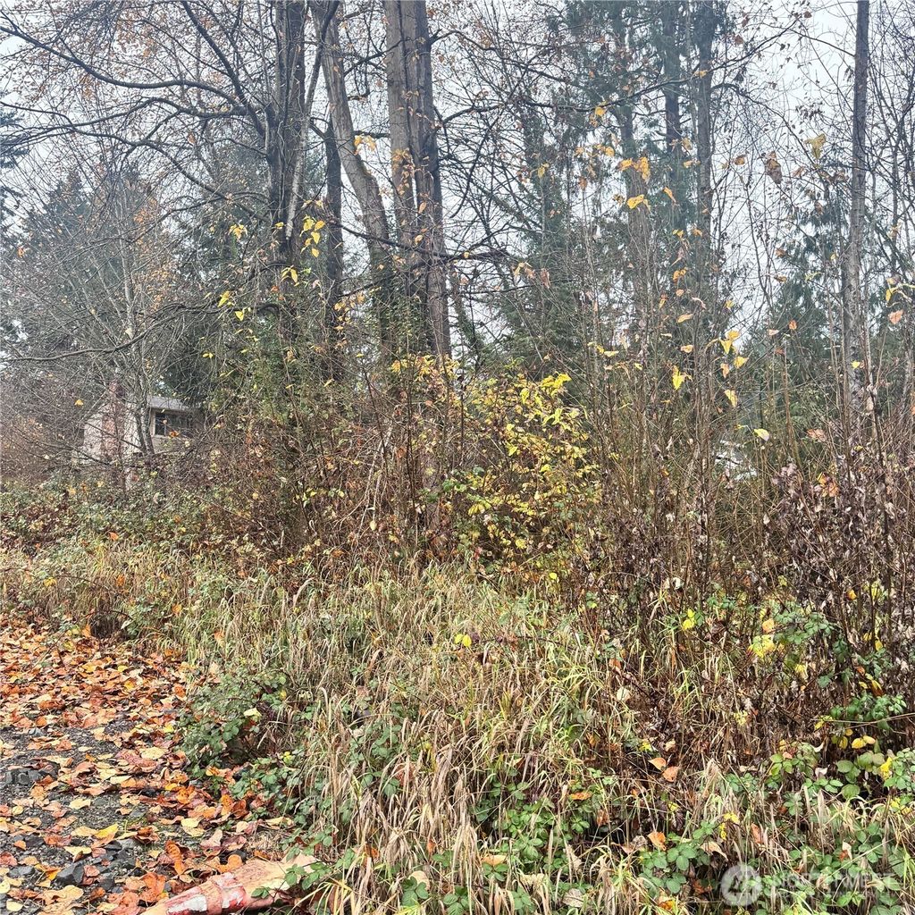 Photo of 5901 S Fountain Street, Seattle, WA 98178 (MLS # 2458409)