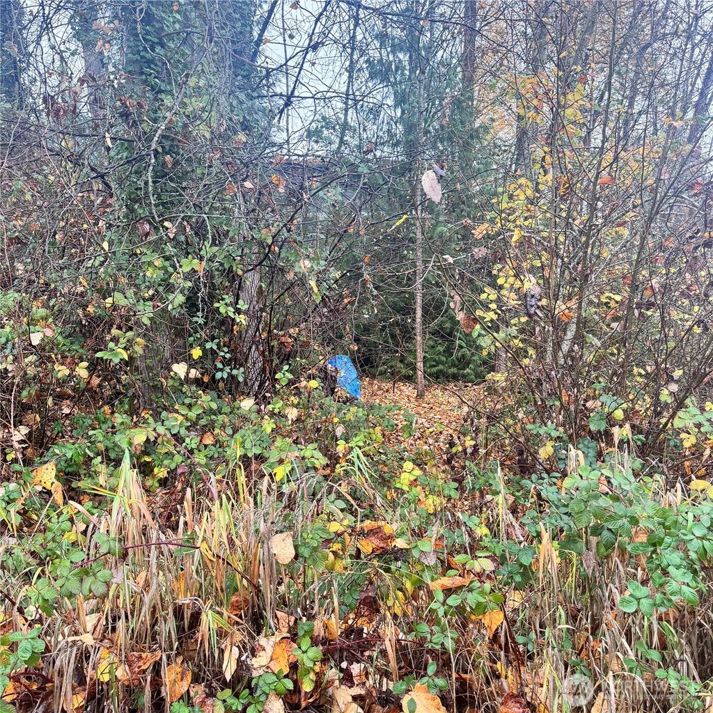 Photo of 5901 S Fountain Street, Seattle, WA 98178 (MLS # 2458409)