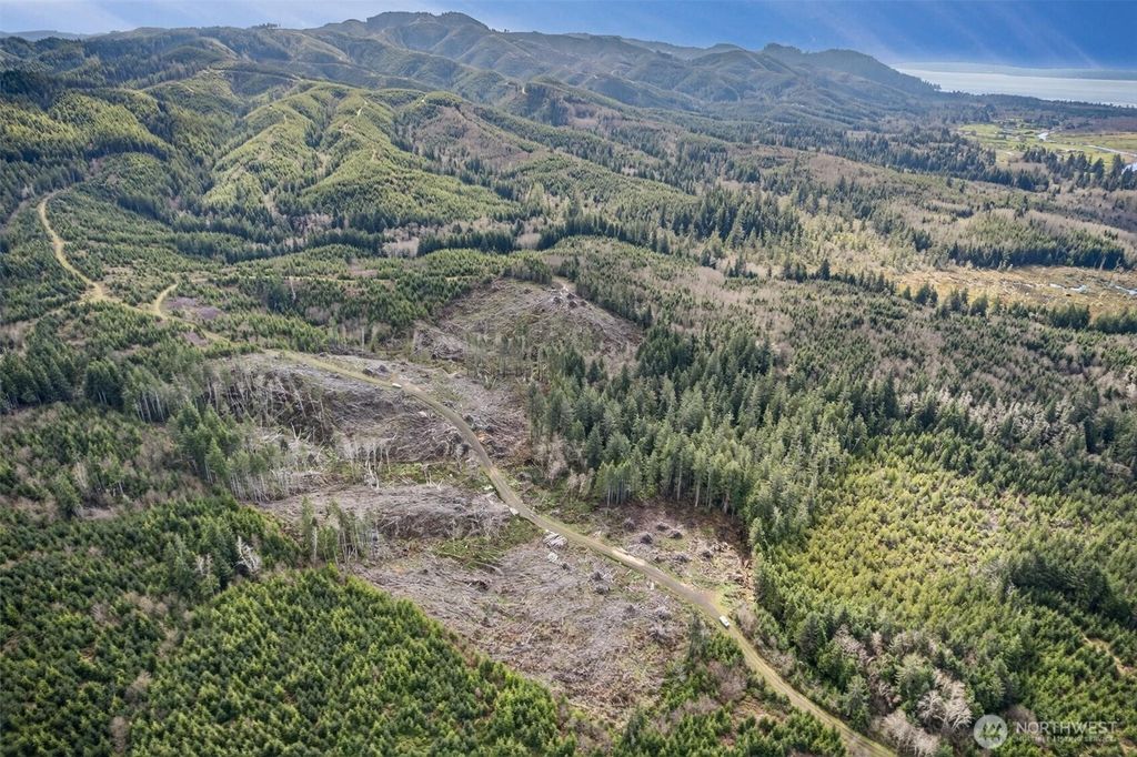 Photo of 0 Chinook Valley Road, Chinook, WA 98614 (MLS # 2498334)