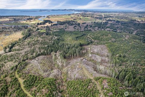 Photo of 0 Chinook Valley Road, Chinook, WA 98614 (MLS # 2498334)