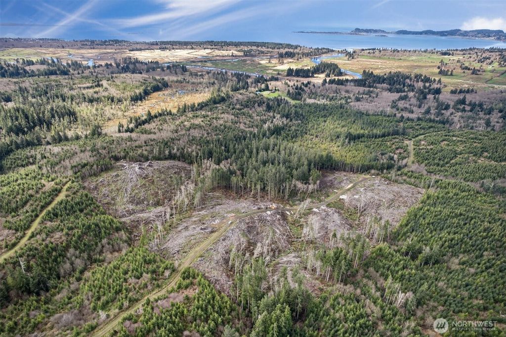 Photo of 0 Chinook Valley Road, Chinook, WA 98614 (MLS # 2498334)