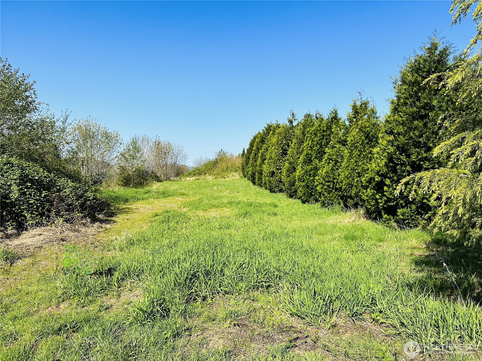 295 DeGoede Drive