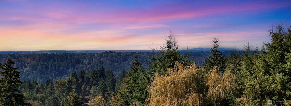 Photo of 12303 206th Place SE, Issaquah, WA 98027 (MLS # 2433938)