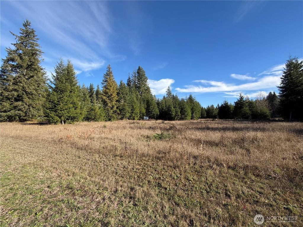 Photo of 138 Shelton Road, Randle, WA 98377 (MLS # 2455485)