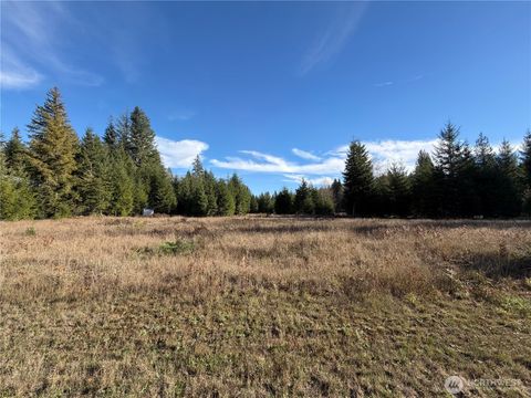 138 Shelton Road Randle WA 98377