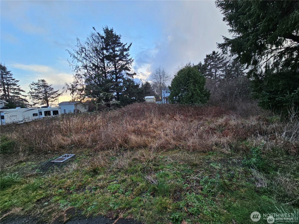 Photo of 17 N 3rd Street, Pacific Beach, WA 98571 (MLS # 2539740)