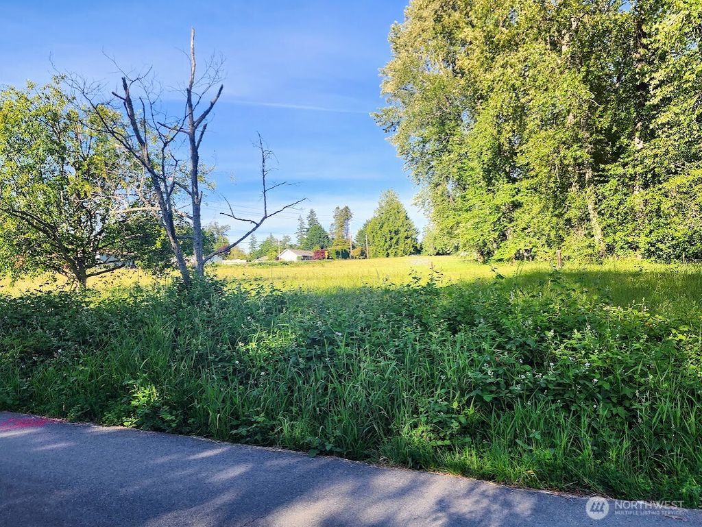 Photo of 6811 153rd Avenue SE, Snohomish, WA 98290 (MLS # 2389383)