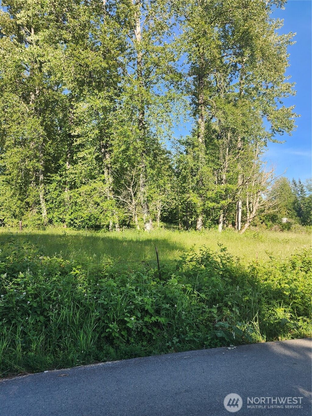 Photo of 6811 153rd Avenue SE, Snohomish, WA 98290 (MLS # 2389383)