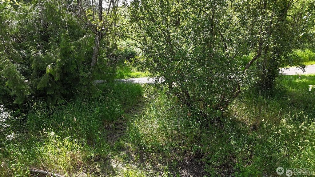 Photo of 12015 58th Avenue E, Puyallup, WA 98373 (MLS # 2513516)