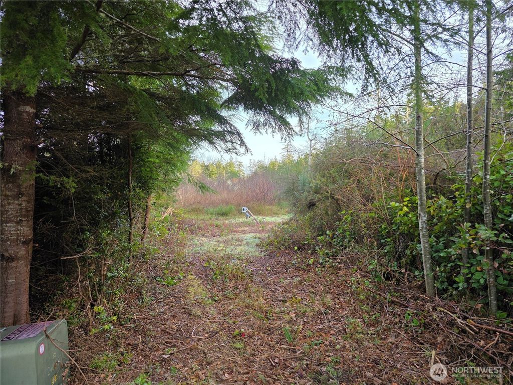 Photo of 3011 202nd Street, Ocean Park, WA 98640 (MLS # 2478082)