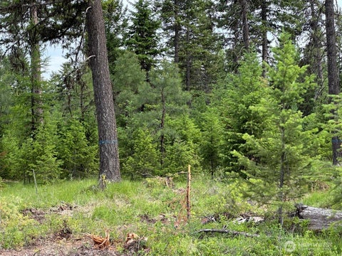 Photo of 3600 Sheridan Road #B, Republic, WA 99166 (MLS # 2584235)