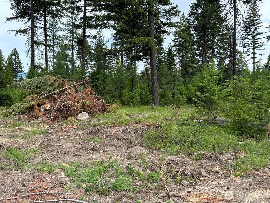 Photo of 3600 Sheridan Road #B, Republic, WA 99166 (MLS # 2584235)