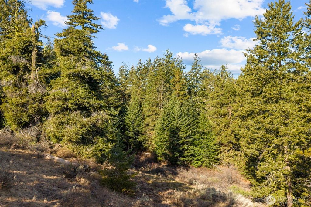 Photo of 104 Yarrow Lane, East Wenatchee, WA 98802 (MLS # 2504828)