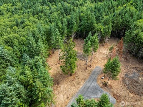 1792 Spirit Lake Highway Lot 4 Castle Rock WA 98611