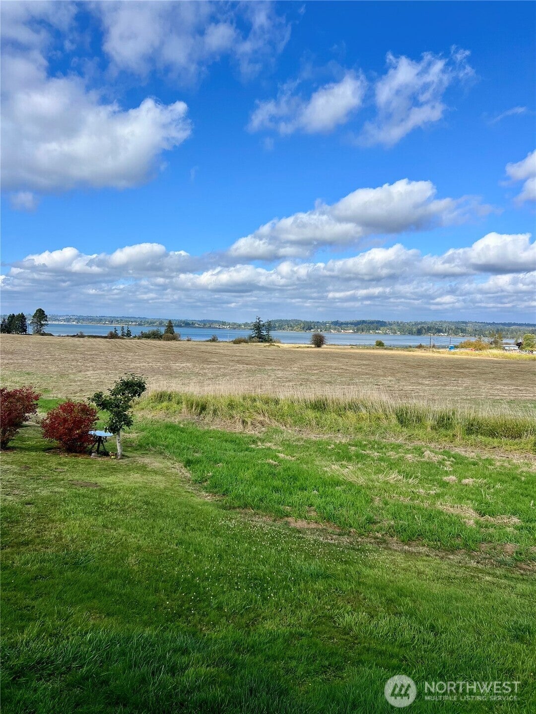 8585 Harborview Road 5