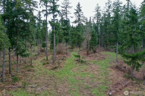 Photo of 7128 115th Avenue SW, Olympia, WA 98512 (MLS # 2499279)