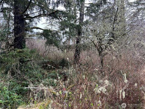 Photo of 0 X 102nd Place, Long Beach, WA 98631 (MLS # 2347707)