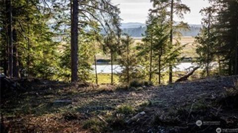 Photo of 46 Lynn Point Lane, South Bend, WA 98586 (MLS # 2400797)