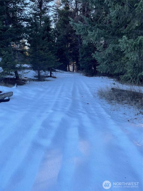 Photo of 161 Bunch Road, Wauconda, WA 98859 (MLS # 2475116)