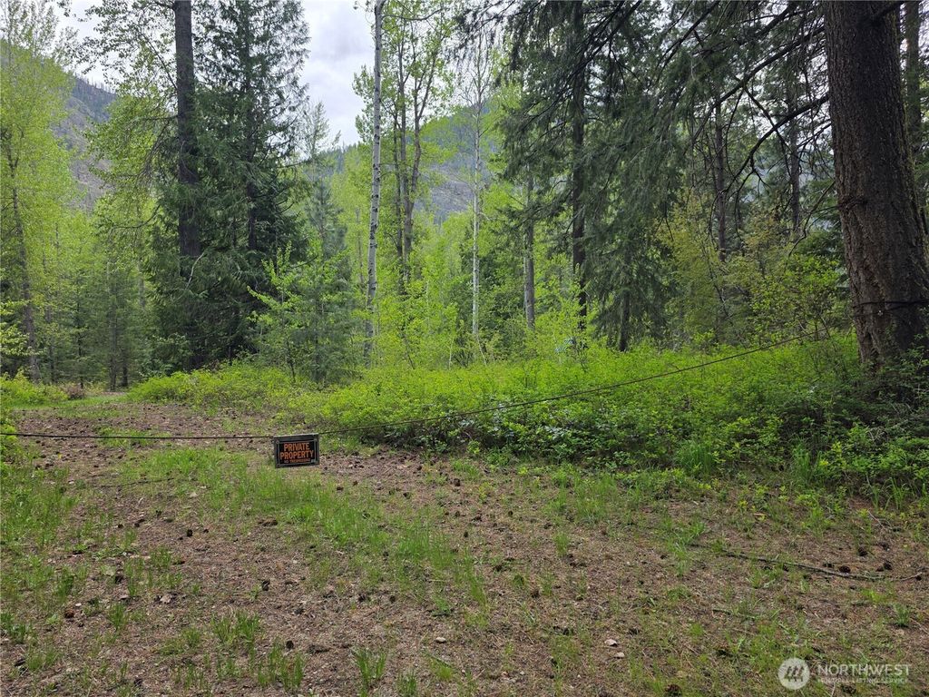 Photo of 98 Cassel Way, Mazama, WA 98833 (MLS # 2516480)