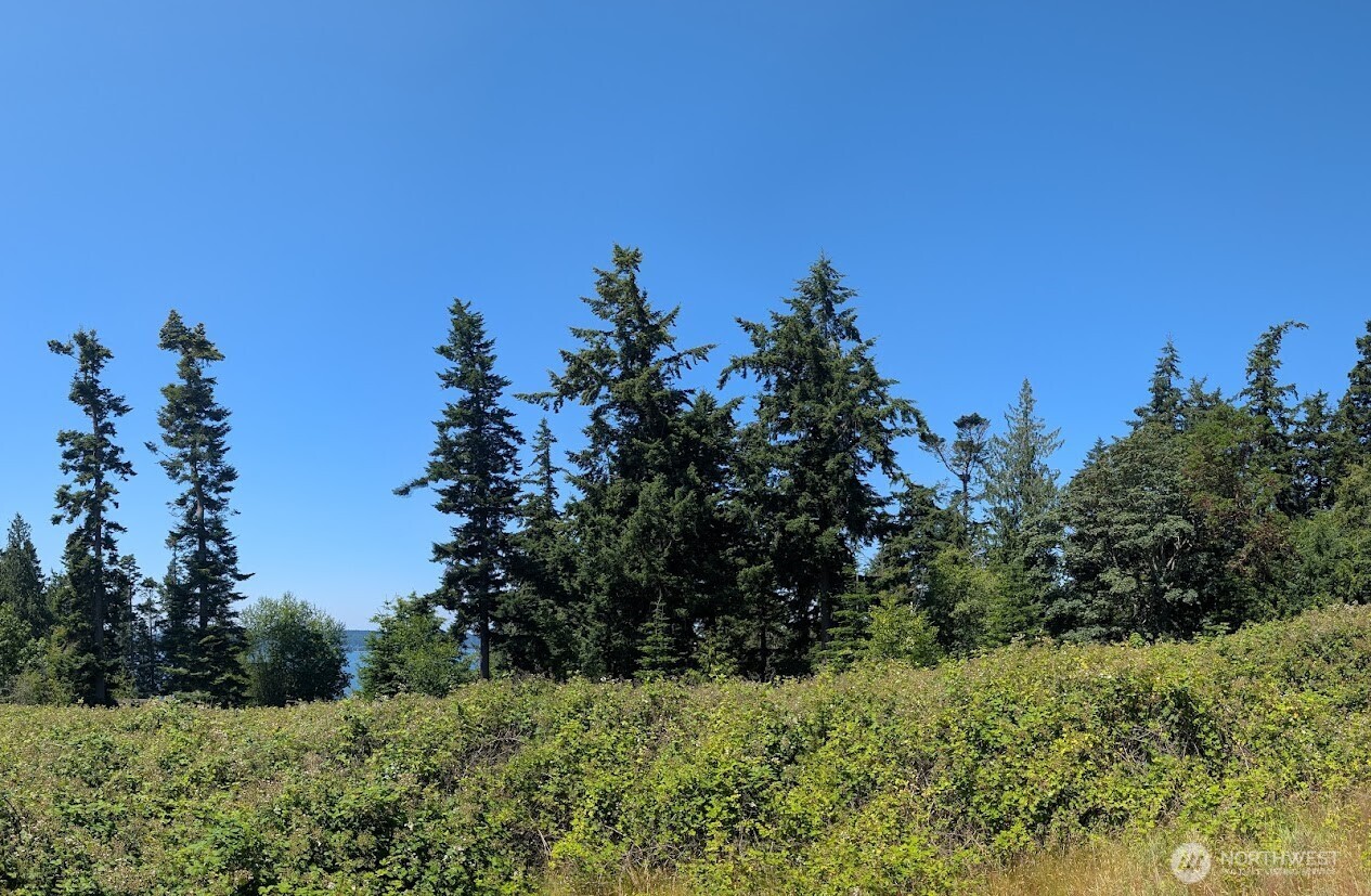 4343 S Camano Drive