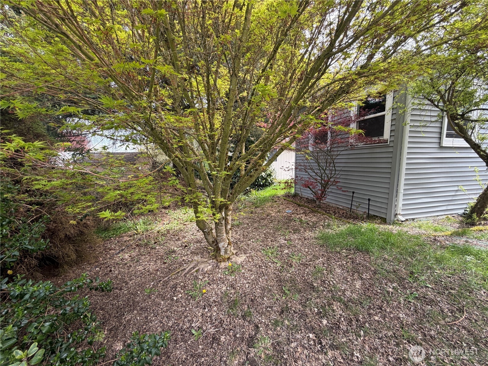 6111 79th Street E 56