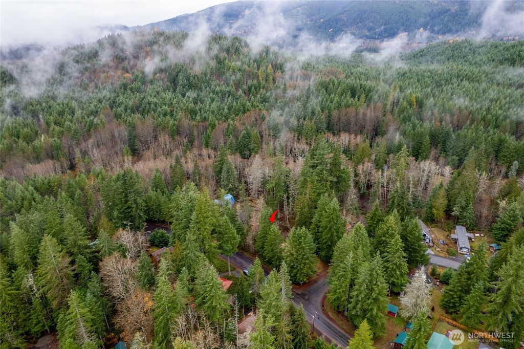 Photo of 318 Paradise Drive, Ashford, WA 98328 (MLS # 2457521)