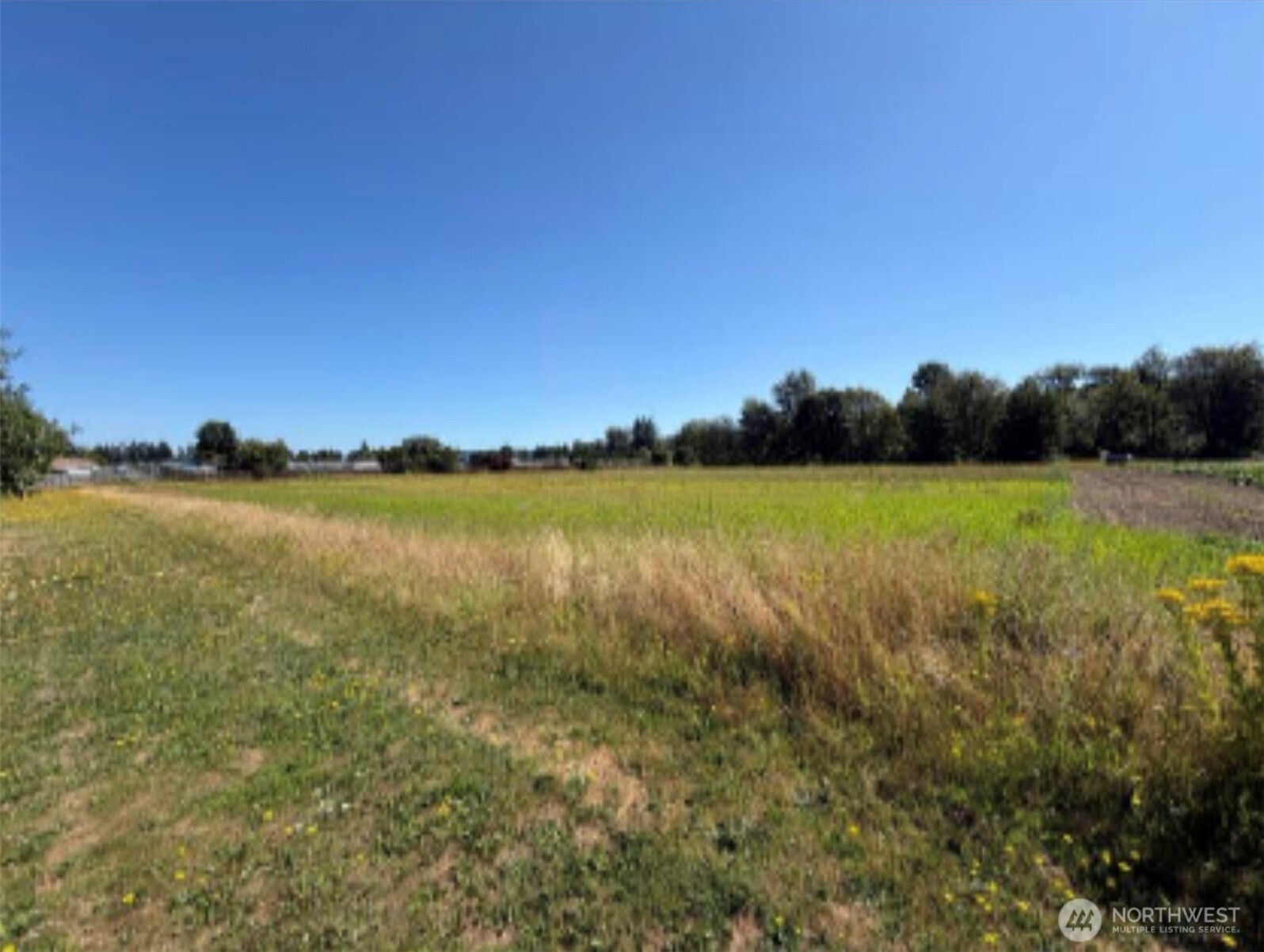 12223 State Route 162 E