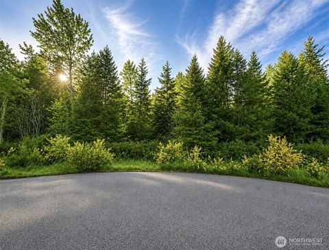 Photo of 15331 Sunnyside Lane SE, Yelm, WA 98597 (MLS # 2519316)