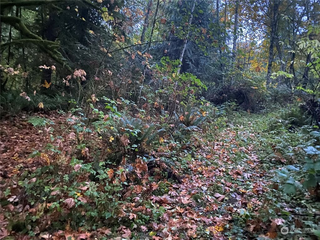 Photo of 27710 175 Place SE, Monroe, WA 98272 (MLS # 2148103)