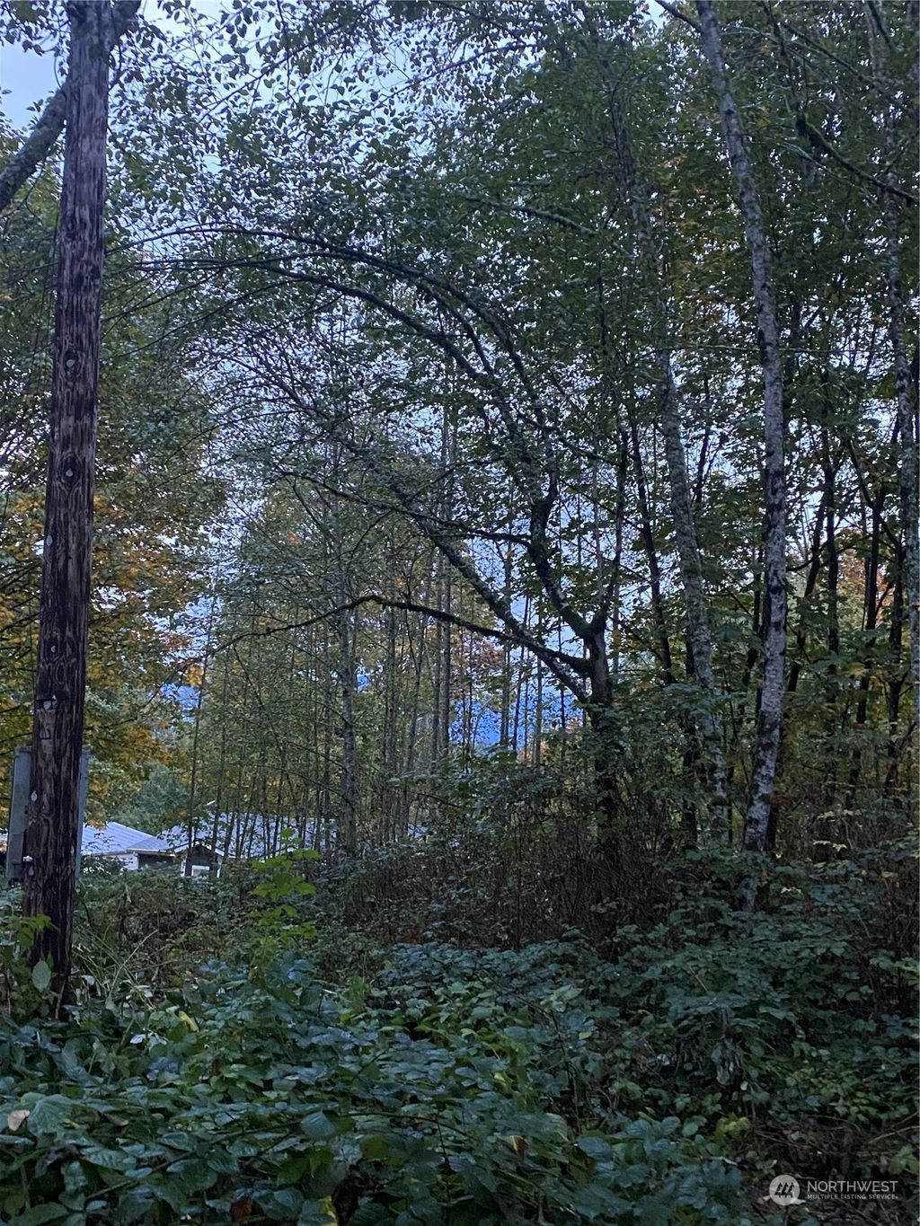 Photo of 27710 175 Place SE, Monroe, WA 98272 (MLS # 2148103)