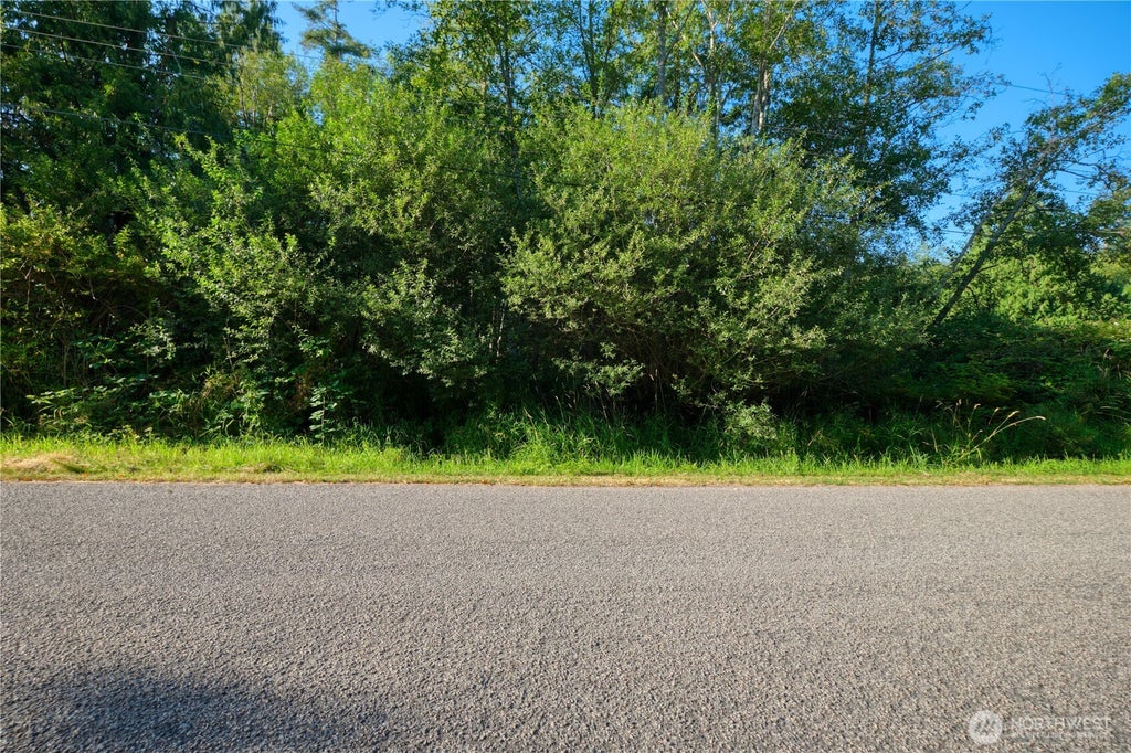 Photo of 11 Lot Rex Street, Point Roberts, WA 98281 (MLS # 2560732)