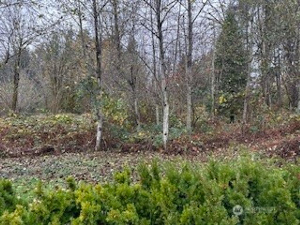 Photo of 0 208th Place NE, Woodinville, WA 98077 (MLS # 2455544)