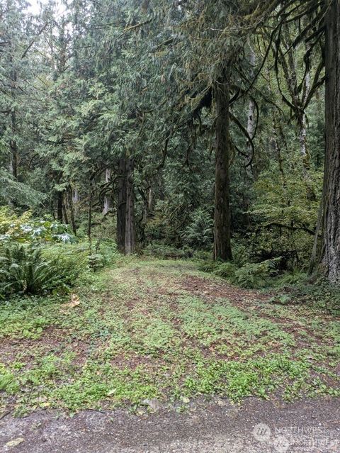 Photo of 0 Cascade Park D1-68 Place #D1L68, Marblemount, WA 98267 (MLS # 2322539)