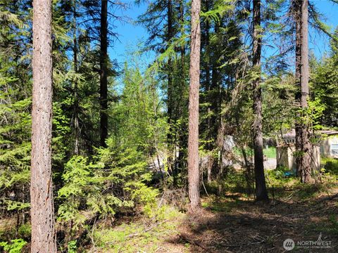 Photo of 263 Twin Lakes Road, Inchelium, WA 99138 (MLS # 2518365)
