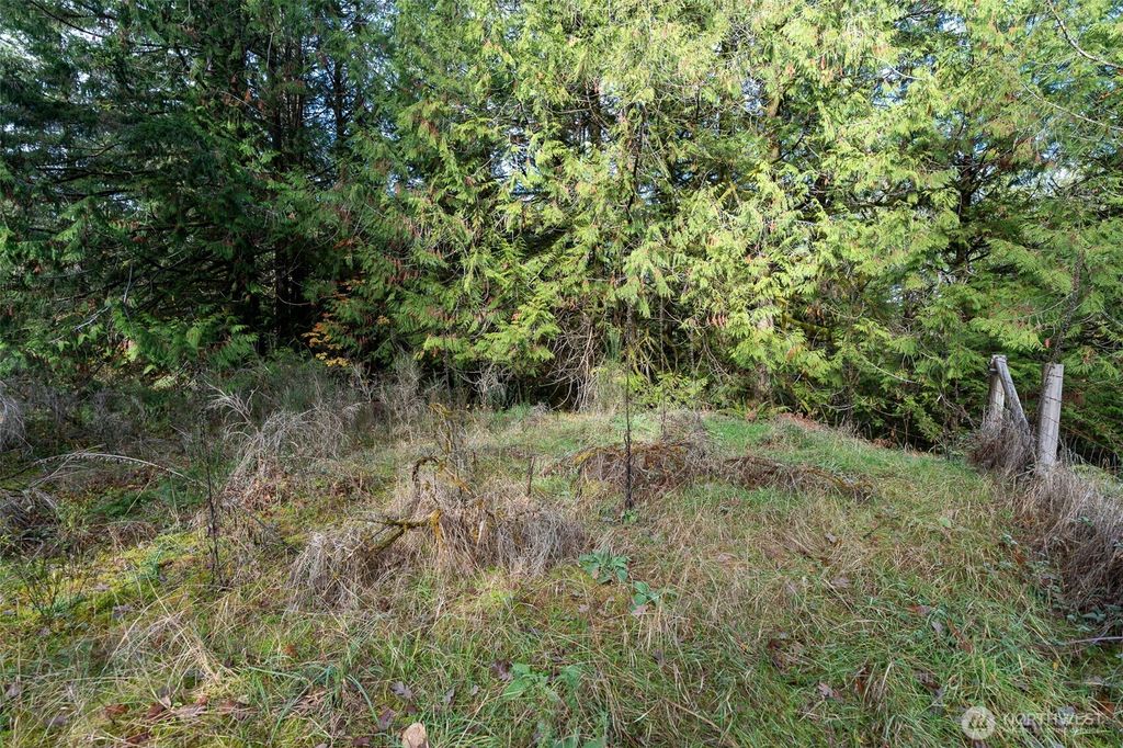 Photo of 2483 E Johns Prairie Rd, Shelton, WA 98584 (MLS # 2484148)