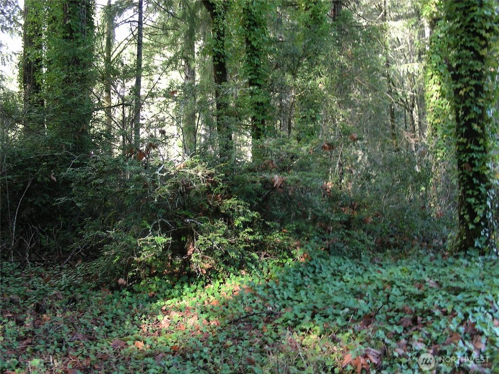 Photo of 0 E Murray Road, Grapeview, WA 98546 (MLS # 2467437)